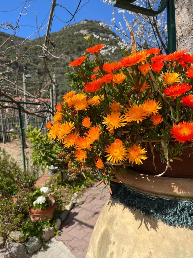 Rocca Di Corno Guest House Finale Ligure Eksteriør billede
